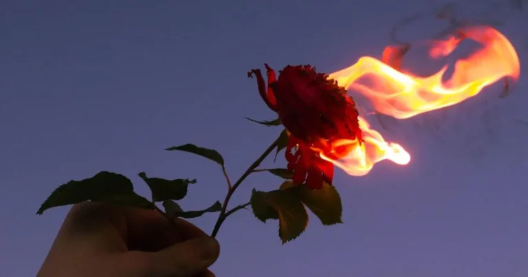 incendio a vista aja rapido e seguro