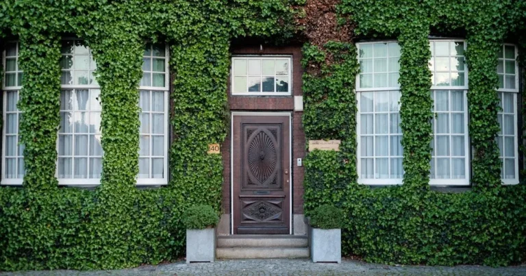 juiz de fora segura top alarmes