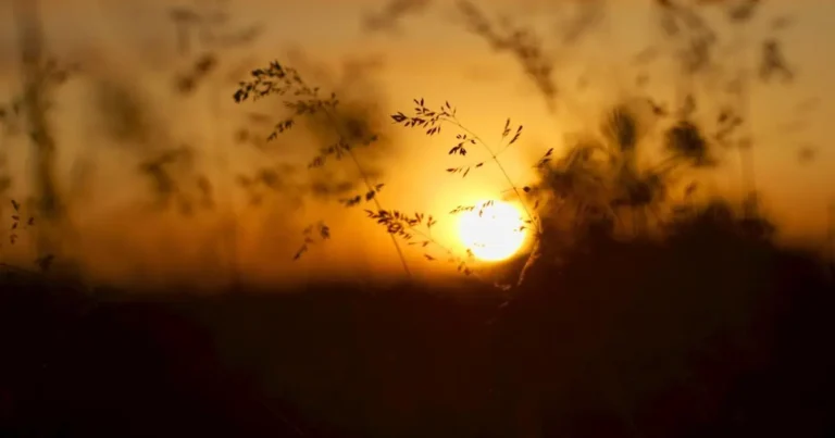 abra seu portao intelbras com um toque