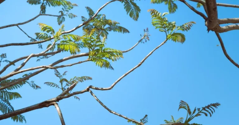 energia solar 5 segredos revelados