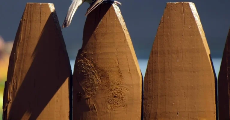 proteja seu lar preco de cerca eletrica revealed