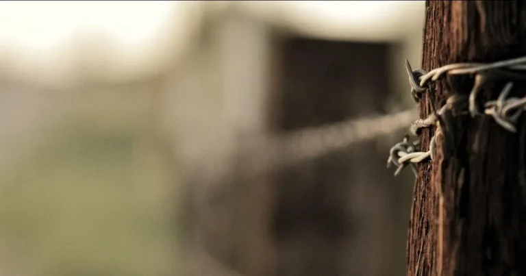 seguranca maxima escolha intelbras