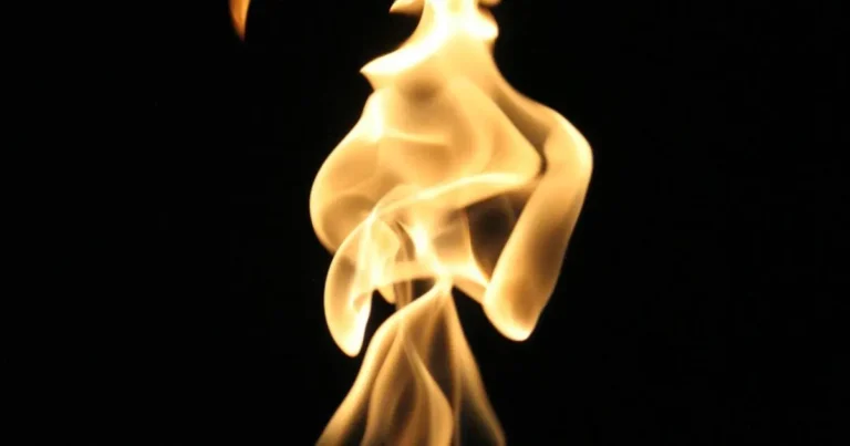 sua seguranca em chamas alarmes que salvam