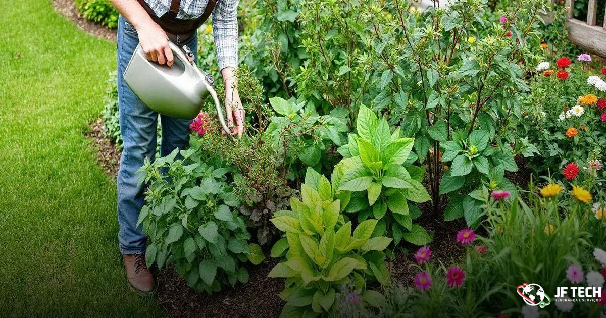 Principais Cuidados para seu Jardim